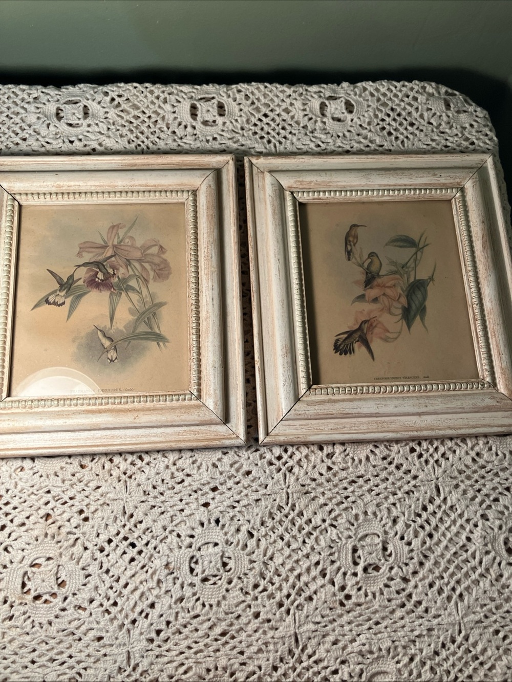 Vintage JOHN GOULD Litho GOLDEN THROATED HUMMINGBIRDS Lot Of 2 9x9.25